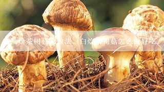 白烩茶树菇的做法，白烩茶树菇怎么做好吃，白烩