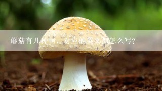 蘑菇有几种啊，对应的英文都怎么写？