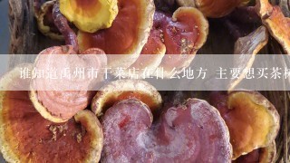 谁知道禹州市干菜店在什么地方 主要想买茶树菇、海