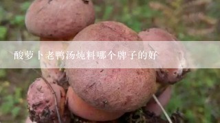 酸萝卜老鸭汤炖料哪个牌子的好