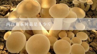两百克茶树菇是多少斤