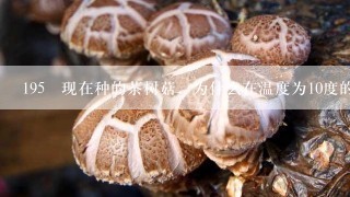 195 现在种的茶树菇，为什么在温度为10度的环境下都死了？？？