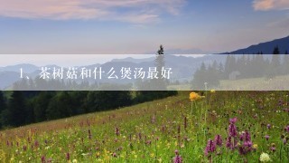 茶树菇和什么煲汤最好