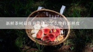 新鲜茶树菇容易变质，怎么维持新鲜度