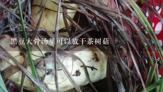 黑豆大骨汤里可以放干茶树菇