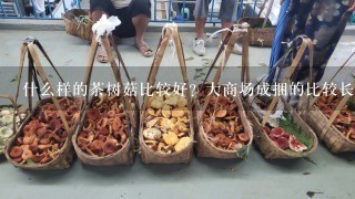 什么样的茶树菇比较好？大商场成捆的比较长，比较细，里面有碎的；在外面买的比较短，比较粗，不会碎。那