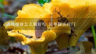 清炖排骨怎么做好吃 简单做法窍门