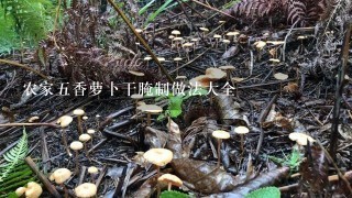 农家五香萝卜干腌制做法大全