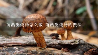 菌菇类炖汤怎么做 菌菇类炖汤的做法