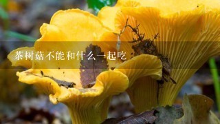 茶树菇不能和什么一起吃