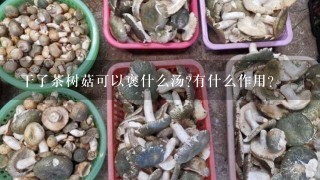 干了茶树菇可以褒什么汤?有什么作用?