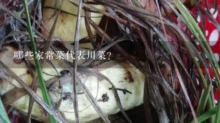 哪些家常菜代表川菜？