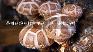 茶树菇豌豆排骨平菇可以一起煲汤吗