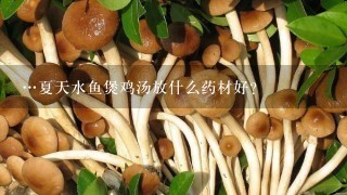 …夏天水鱼煲鸡汤放什么药材好？