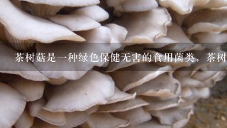 茶树菇是一种绿色保健无害的食用菌类，茶树菇的营养