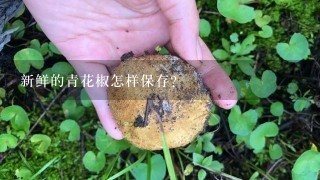 新鲜的青花椒怎样保存？