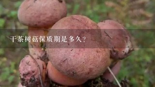 干茶树菇保质期是多久？