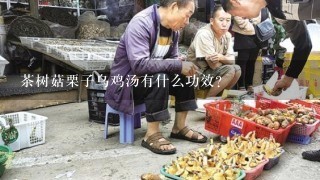 茶树菇栗子乌鸡汤有什么功效？