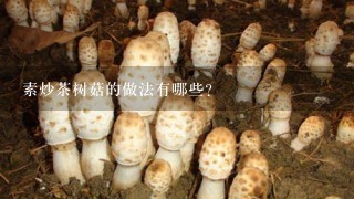 素炒茶树菇的做法有哪些？