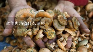 煮羊肉汤放什么调料