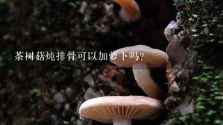 茶树菇炖排骨可以加萝卜吗？