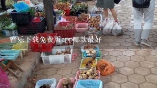 音乐下载免费版app哪款最好