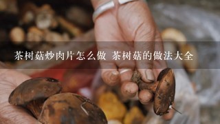 茶树菇炒肉片怎么做 茶树菇的做法大全