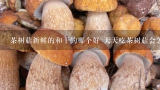 茶树菇新鲜的和干的哪个好 天天吃茶树菇会怎么样
