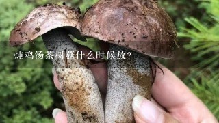 炖鸡汤茶树菇什么时候放？