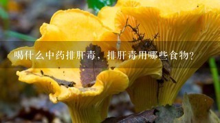 喝什么中药排肝毒，排肝毒用哪些食物？