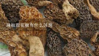 辣椒跟花椒有什么区别