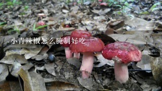 小青辣椒怎么腌制好吃