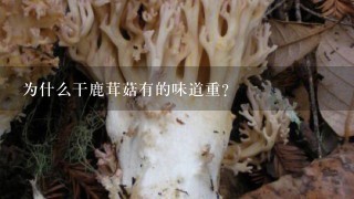 为什么干鹿茸菇有的味道重？