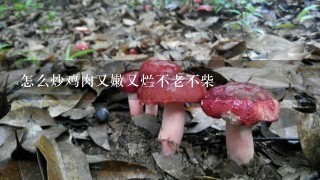 怎么炒鸡肉又嫩又烂不老不柴