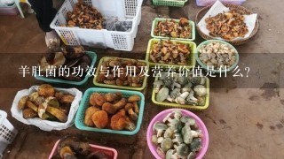 羊肚菌的功效与作用及营养价值是什么？