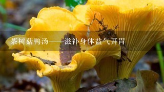 茶树菇鸭汤——滋补身体益气开胃