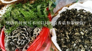 煲汤的时候可不可以同时放香菇和茶树菇？