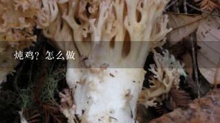 炖鸡？怎么做