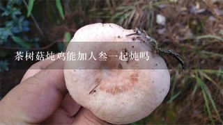 茶树菇炖鸡能加人叁一起炖吗