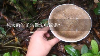 炖大鹅的正宗做法电饭锅？