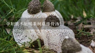 孕妇能不能喝茶树菇排骨汤？