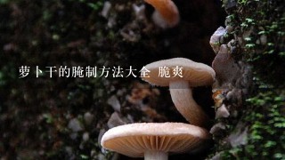 萝卜干的腌制方法大全 脆爽