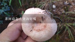 茶树菇怎么煲汤好喝