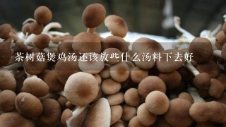 茶树菇煲鸡汤还该放些什么汤料下去好