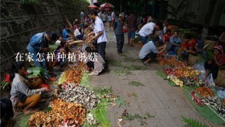 在家怎样种植蘑菇