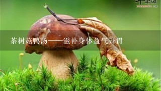 茶树菇鸭汤——滋补身体益气开胃