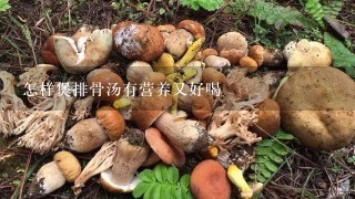 怎样煲排骨汤有营养又好喝