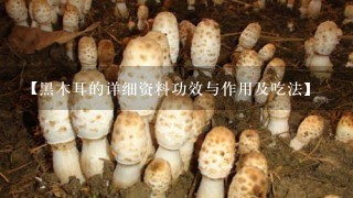 【黑木耳的详细资料功效与作用及吃法】