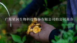 广东星河生物科技股份有限公司的公司简介