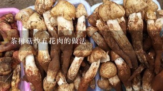 茶树菇炒五花肉的做法
